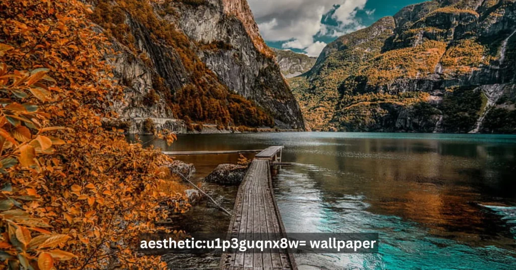 logo:8rneleok-fk= roblox