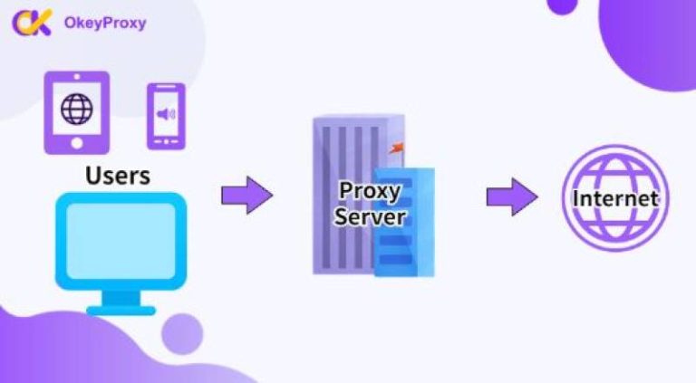 How to Enhance Your Tamilmv Proxy Experience with Advanced Search Features